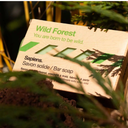 SAPIENS Savon solide - Wild Forest (3).png